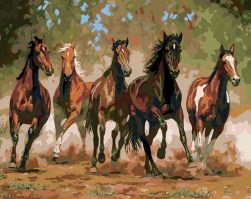 Maľovanie podľa čísel Stádo koní